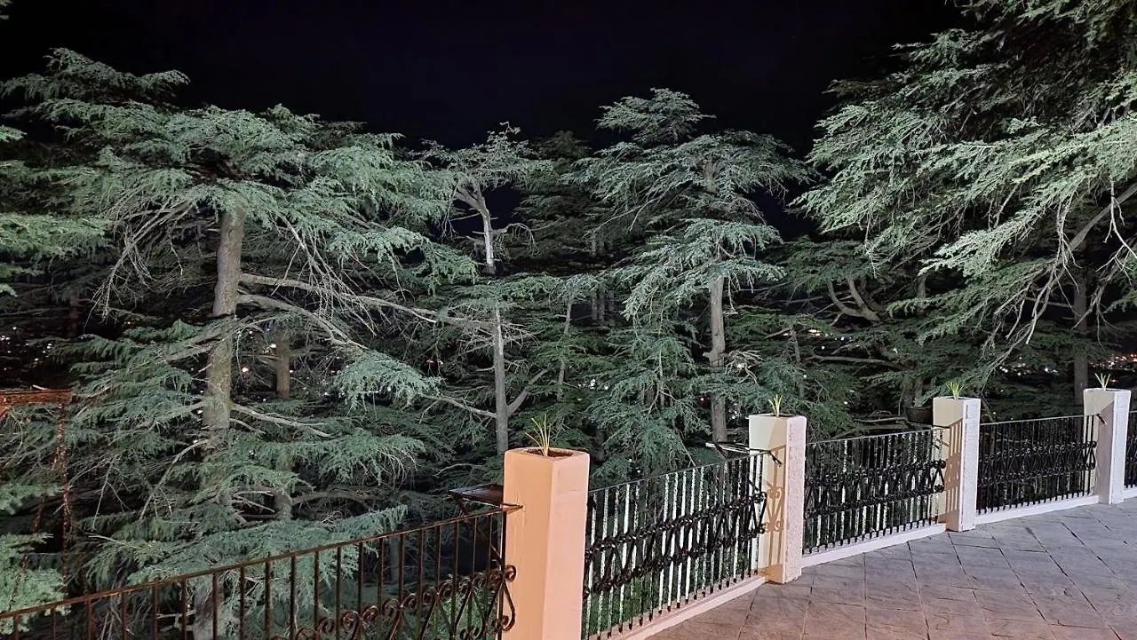 Glen View Heritage Homestay Shimla
