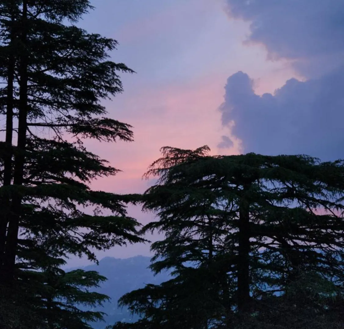 Glen View Heritage Homestay Shimla Villa